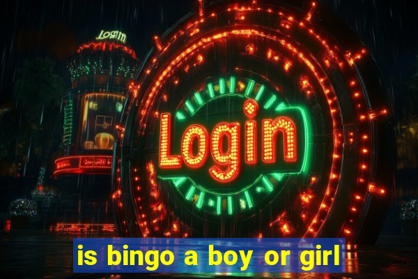 is bingo a boy or girl