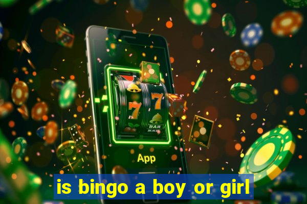 is bingo a boy or girl