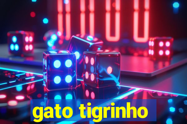 gato tigrinho