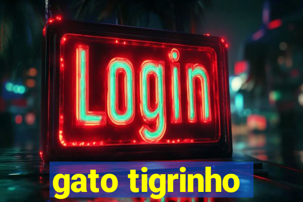 gato tigrinho