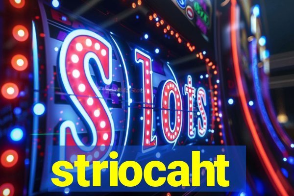 striocaht