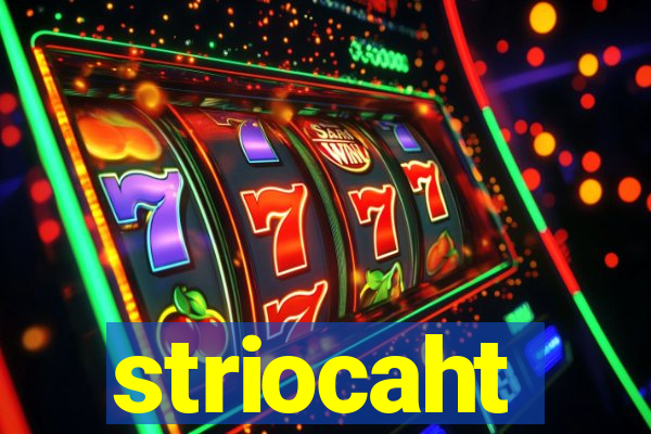 striocaht