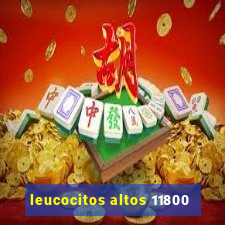 leucocitos altos 11800