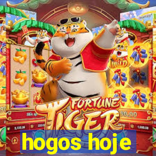 hogos hoje