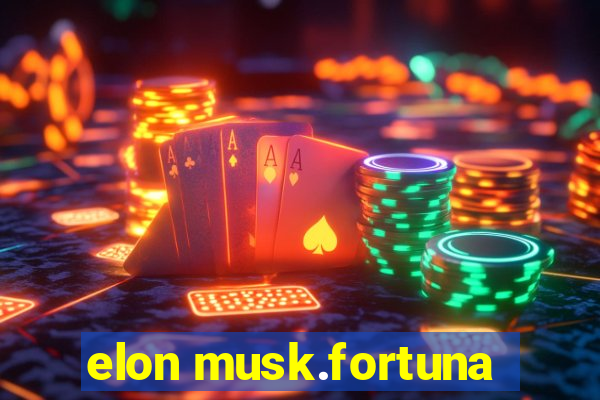 elon musk.fortuna