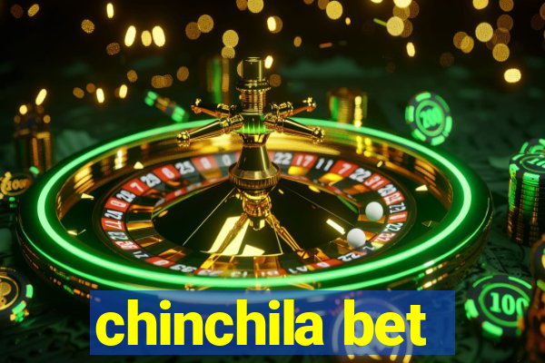 chinchila bet