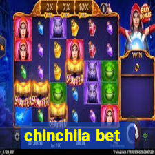 chinchila bet