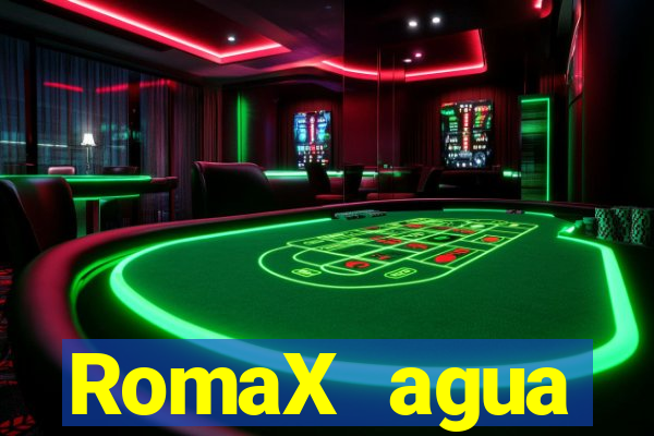 RomaX agua sanitaria fispq agua sanitaria romax