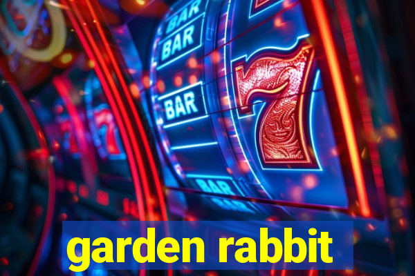 garden rabbit