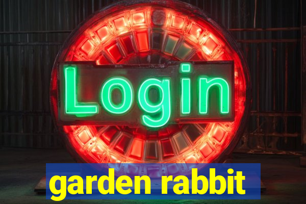 garden rabbit