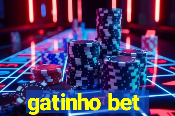 gatinho bet