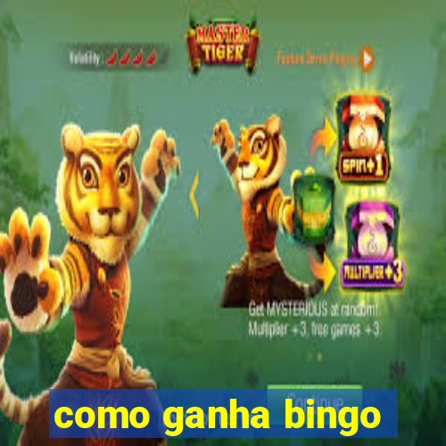 como ganha bingo