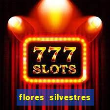 flores silvestres desbravadores desbravadores 25 flores silvestres e seus nomes