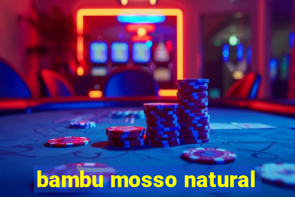 bambu mosso natural