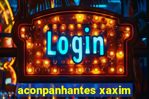 aconpanhantes xaxim