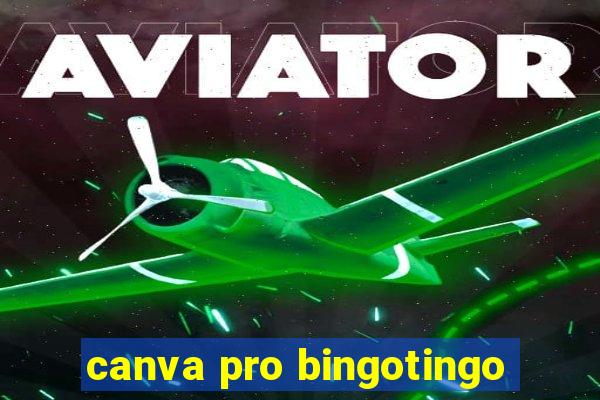 canva pro bingotingo