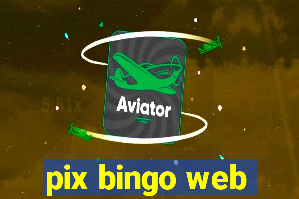 pix bingo web