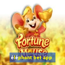 éléphant bet app