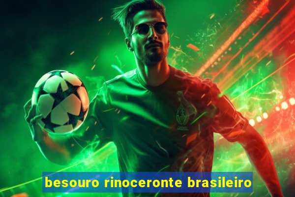 besouro rinoceronte brasileiro