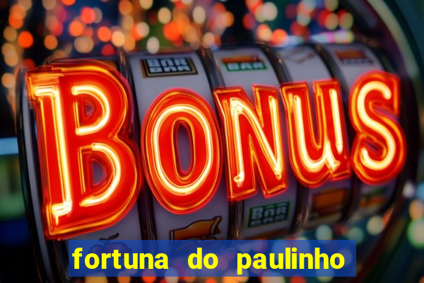 fortuna do paulinho do roupa nova