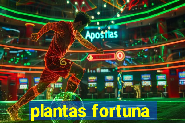 plantas fortuna