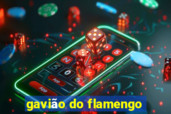 gavião do flamengo