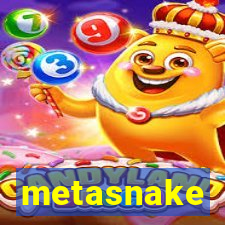 metasnake