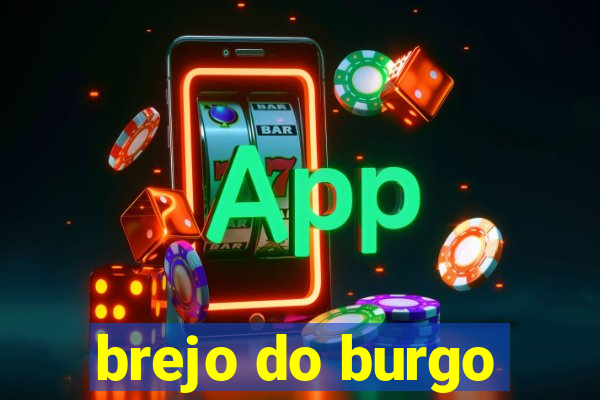 brejo do burgo