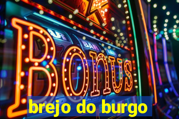 brejo do burgo