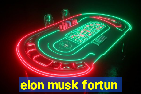 elon musk fortun