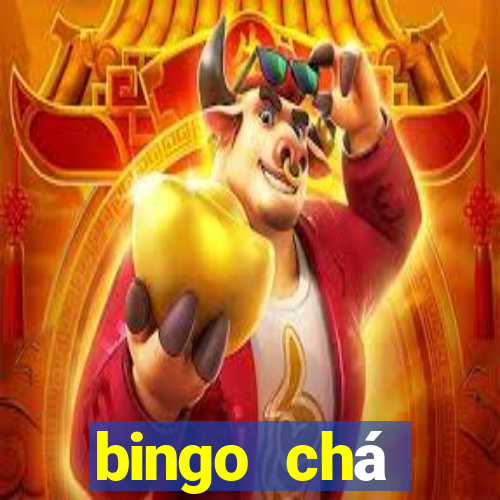 bingo chá revela??o pdf