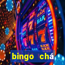 bingo chá revela??o pdf