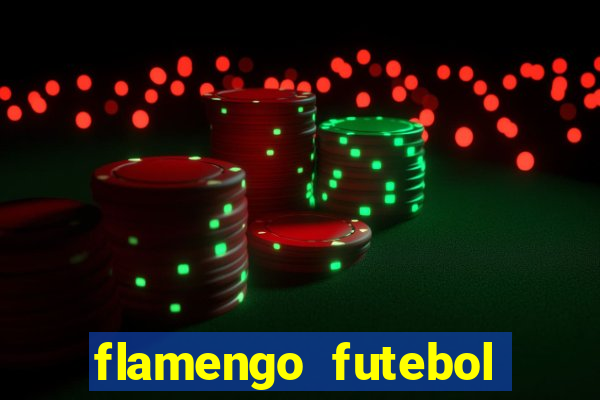 flamengo futebol play hd