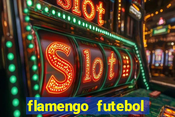 flamengo futebol play hd