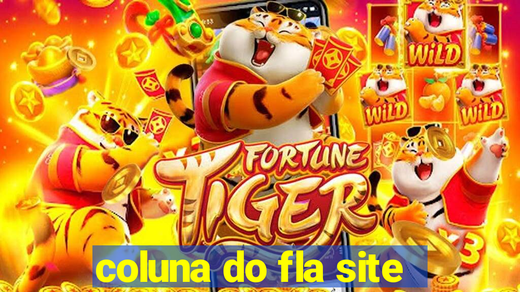 coluna do fla site