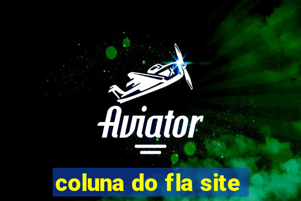 coluna do fla site