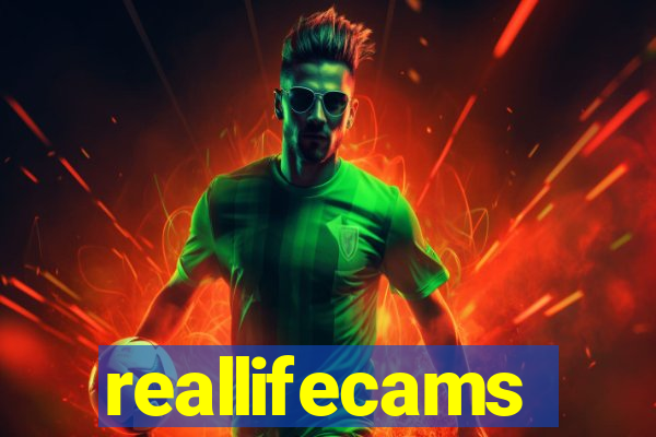 reallifecams