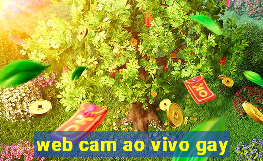 web cam ao vivo gay