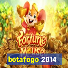 botafogo 2014