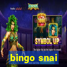 bingo snai