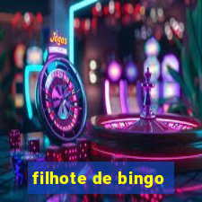 filhote de bingo