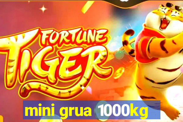 mini grua 1000kg