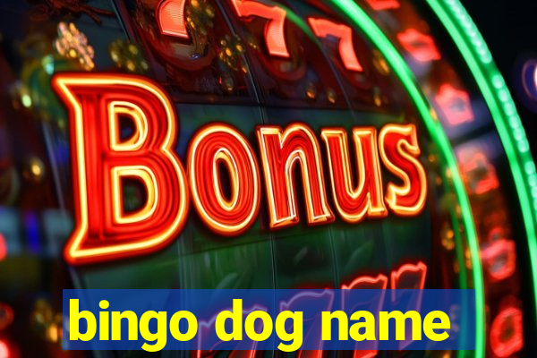 bingo dog name