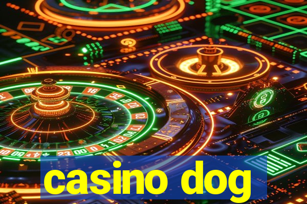 casino dog