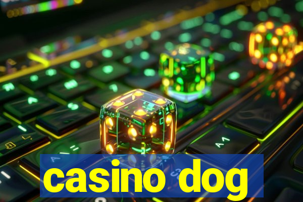 casino dog