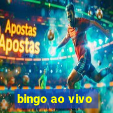 bingo ao vivo