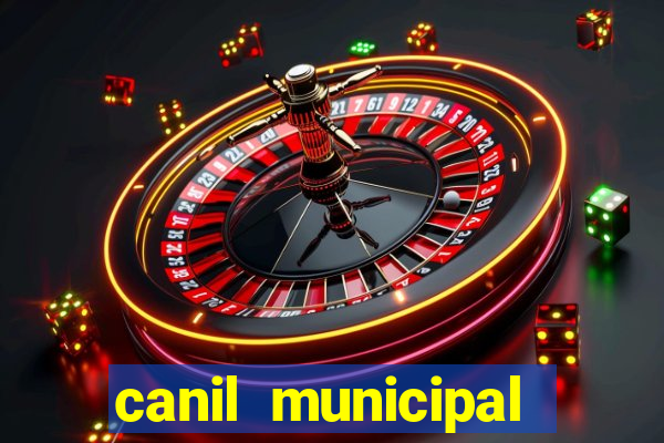 canil municipal porto alegre