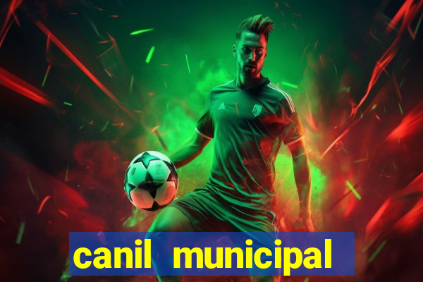 canil municipal porto alegre