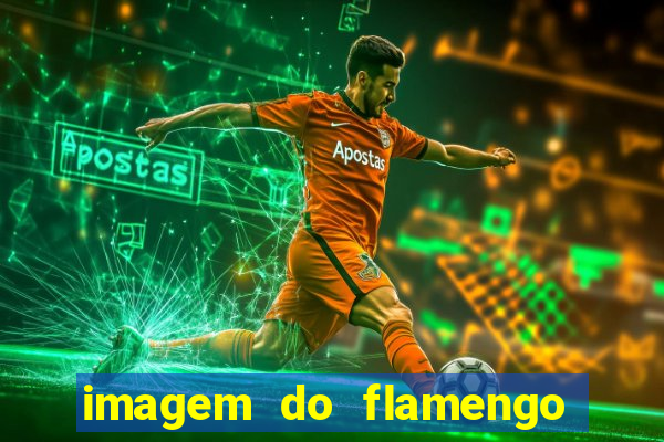 imagem do flamengo para perfil