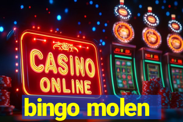 bingo molen